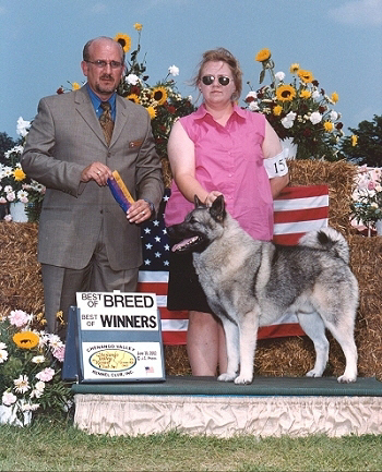 Champion Brushy Creek Saami Lapp OK