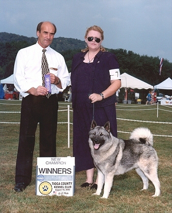 Champion Brushy Creek Saami Lapp OK