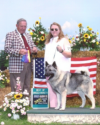 Champion Brushy Creek Saami Lapp OK