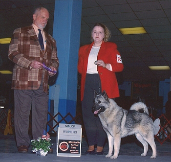 Champion Brushy Creek Saami Lapp OK