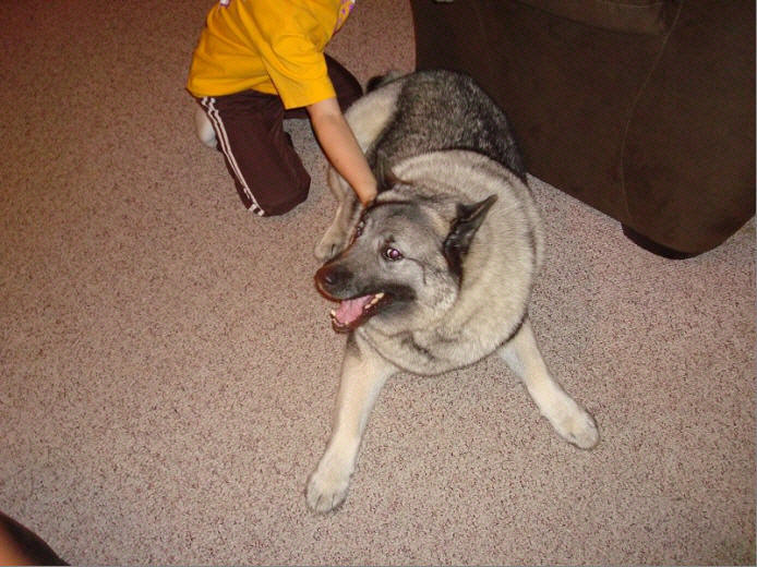 Oden with Garrett Swift: