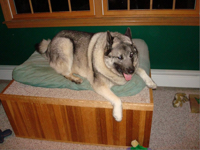 Oden with Garrett Swift: