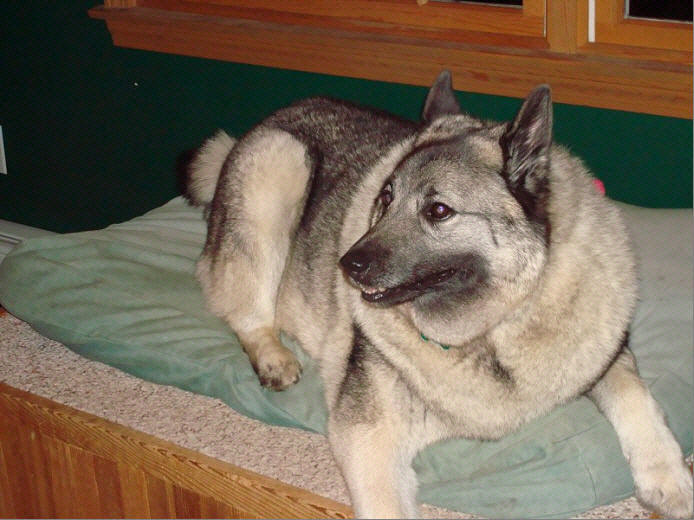 Oden with Garrett Swift: