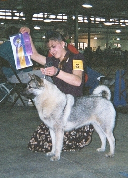 Our Bitch is Brushy Creek Isabella