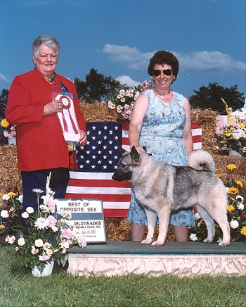 Our bitch OK's Dare'n To Excell