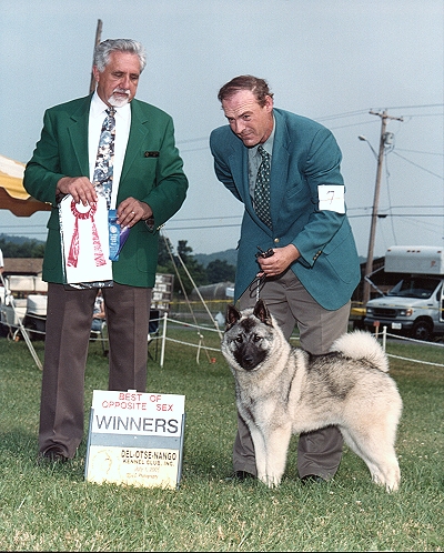 Champion Brushy Creek Saami Lapp OK